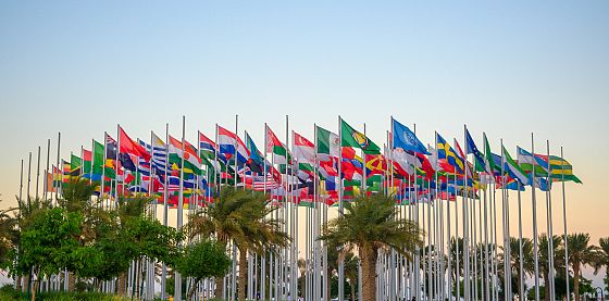 Il 15 novembre l'evento ASviS in diretta dalla Cop 30 di Belem