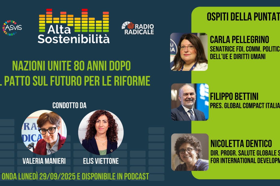Nazioni Unite 80 anni dopo. Il Patto sul futuro come agenda per le riforme