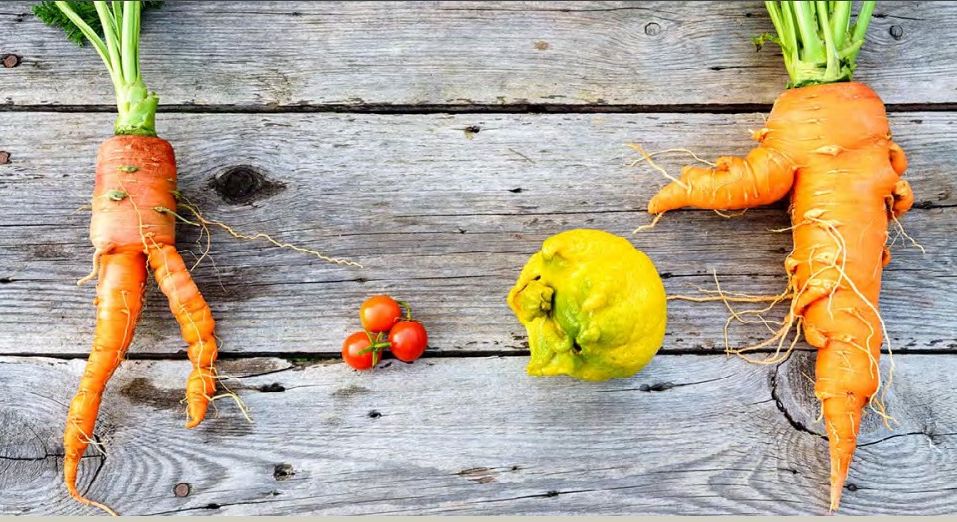 Food Waste Index: quasi un quinto del cibo nel mondo finisce nel cestino