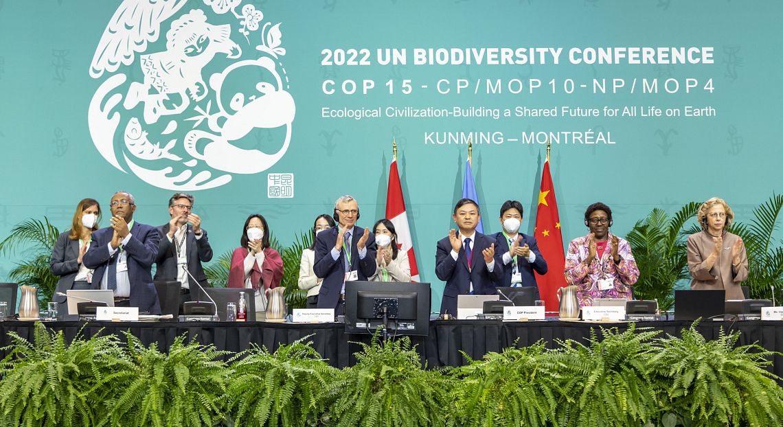 L’accordo sulla biodiversità che proverà a fermare l’era dell’estinzione