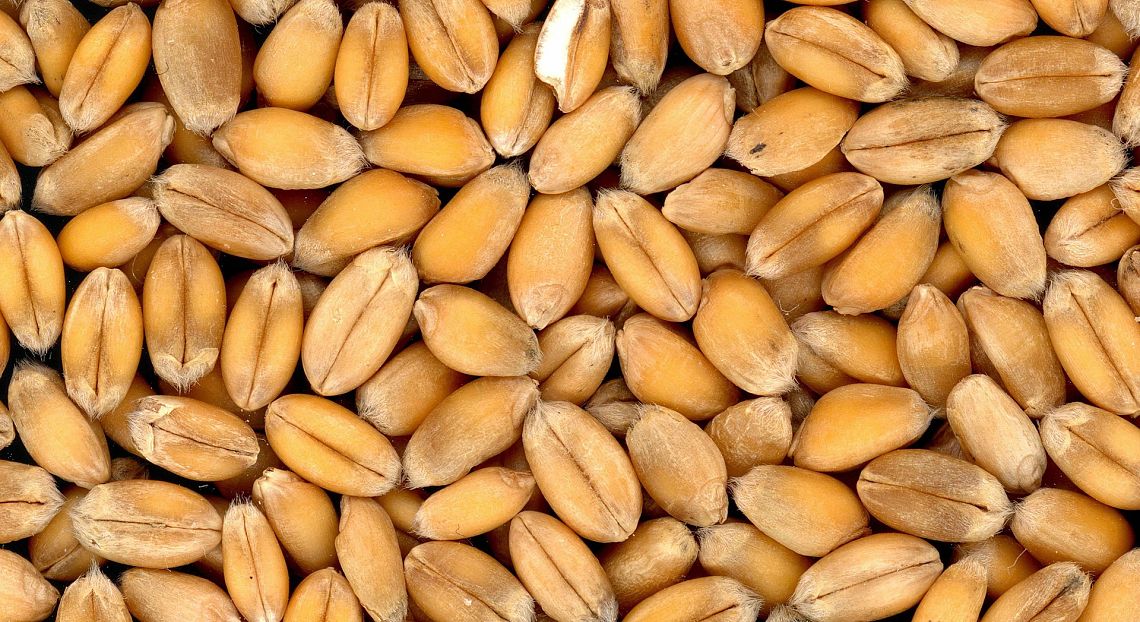 Food Price Index: nelle variazioni dei prezzi alimentari pesa il cambiamento climatico