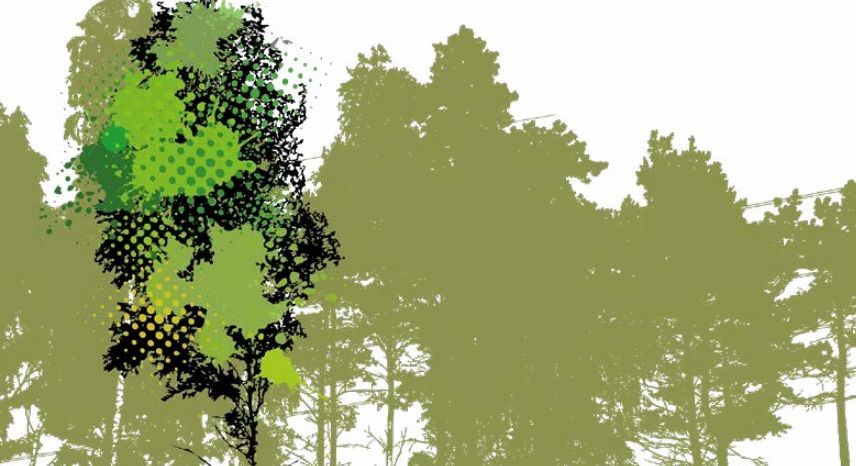 Progetto Veg-gap: come migliorare l’aria delle città e la legislazione sul tema? 