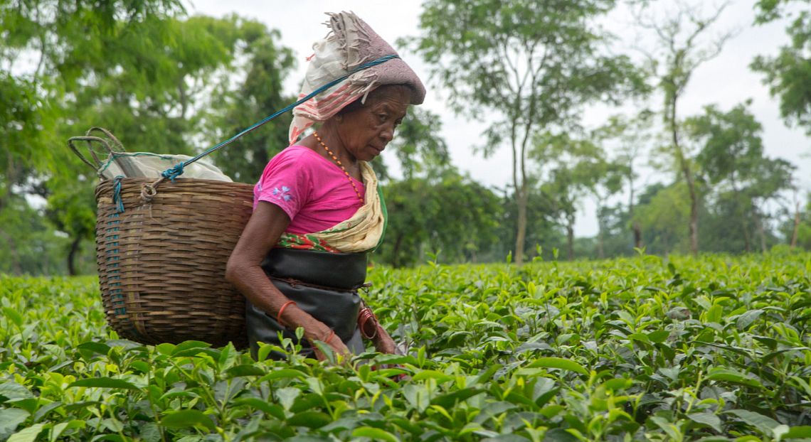 Equo e solidale in Italia, un 2022 all’insegna di trend positivi