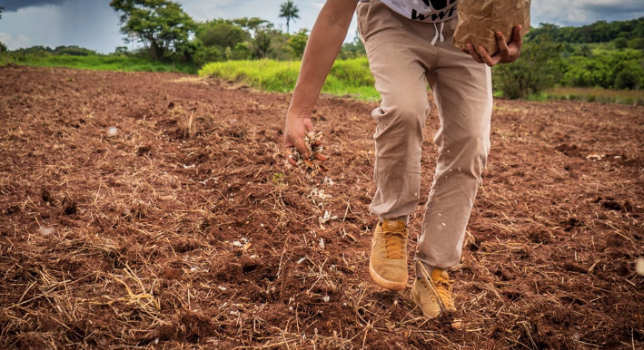 Wwf: 10 regole d'oro per un sistema alimentare sostenibile e responsabile