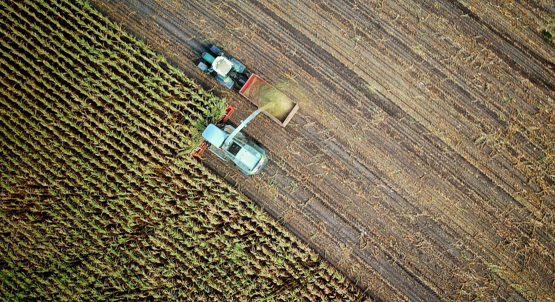 FOCUS. Il difficile percorso per un’agricoltura ecologica ed economicamente sostenibile