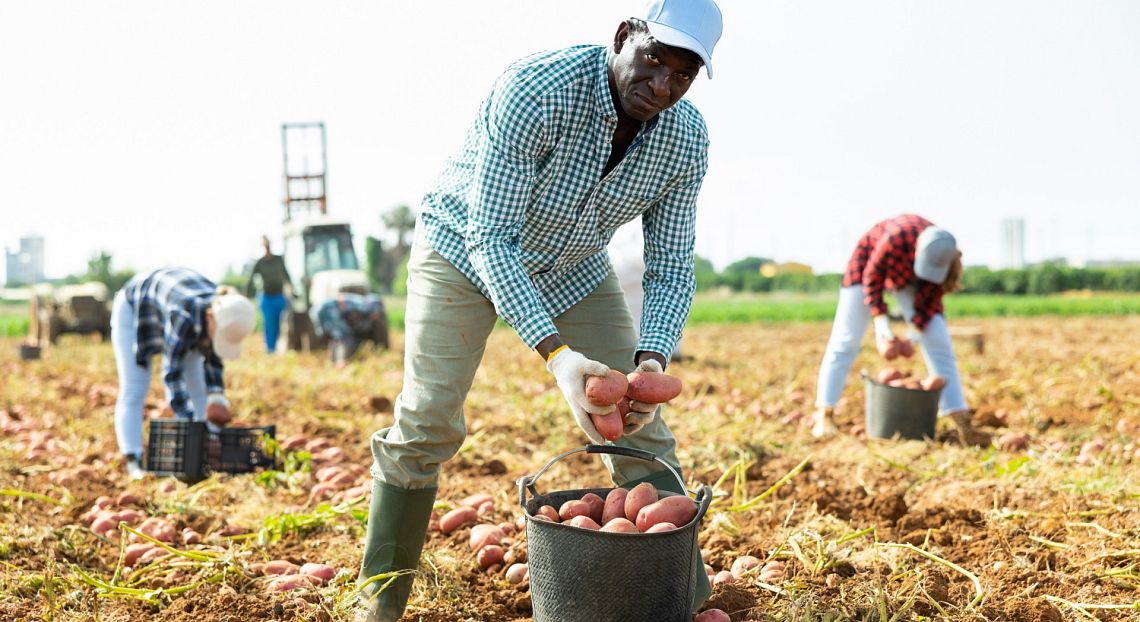 Diritti umani: imprese italiane avanzano, ma ancora lontane dai principi guida Onu 
