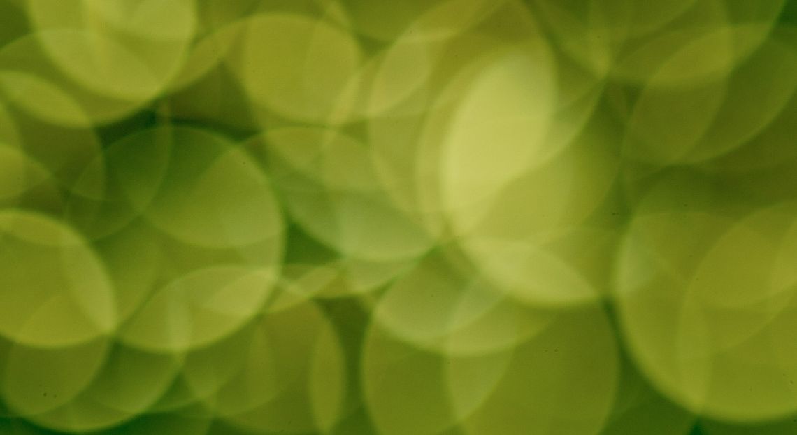 GreenItaly 2024: l’Italia tra i leader europei nell’economia verde