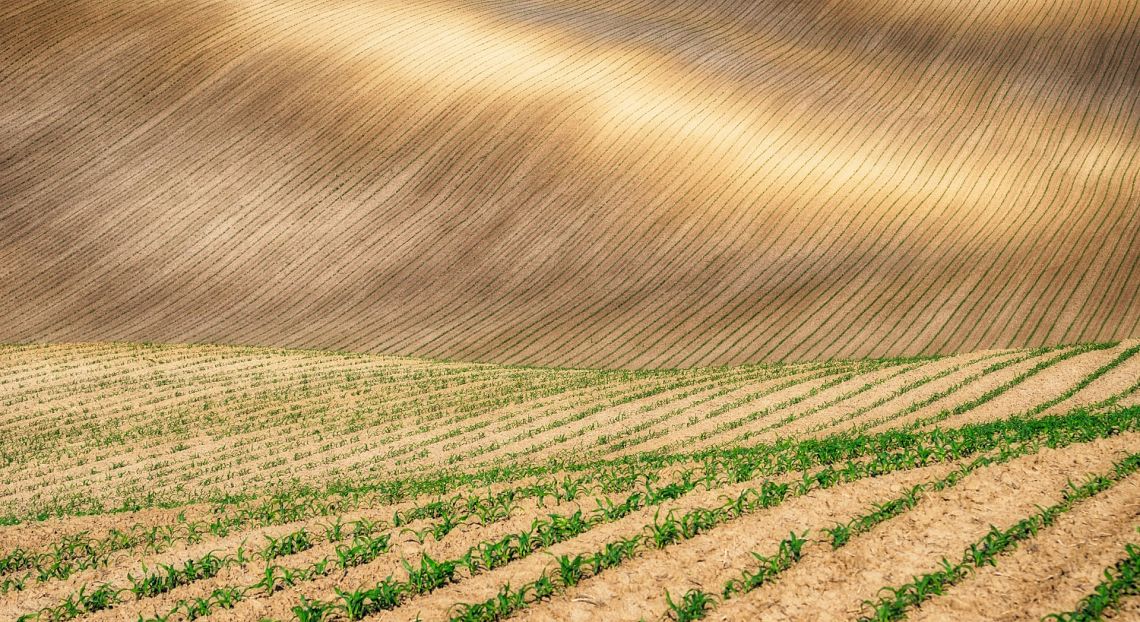 Riallineare pratiche agricole e tutela della biodiversità conviene, ecco perché