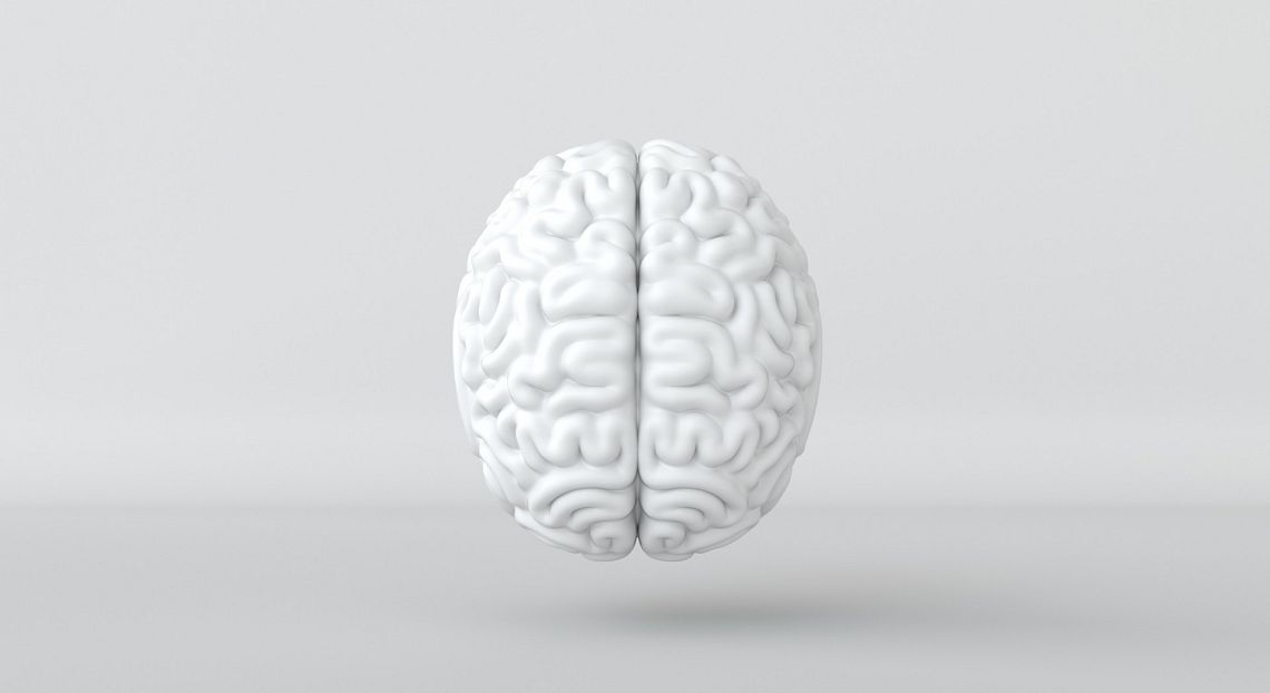 Le microplastiche conquistano i mari, ma anche il nostro cervello