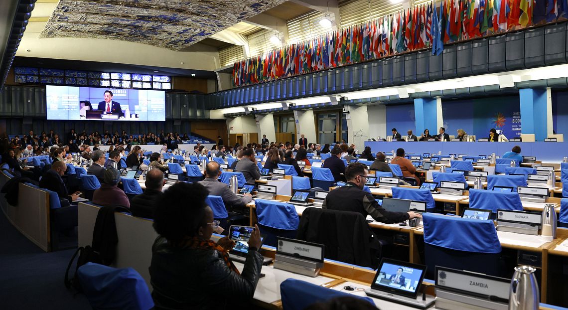 Cop 16: definita a Roma la strategia per finanziare la protezione della biodiversità