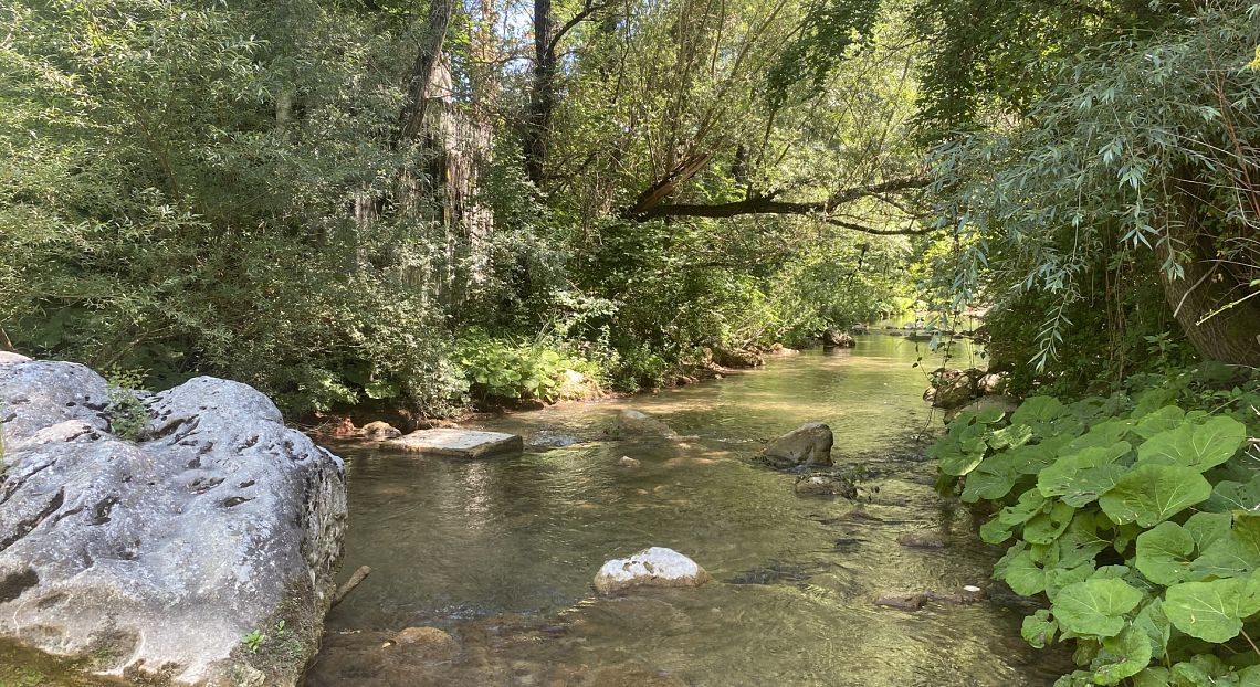 Earth day 2025: l’Italia celebra il Pianeta con festival, maratone e spettacoli