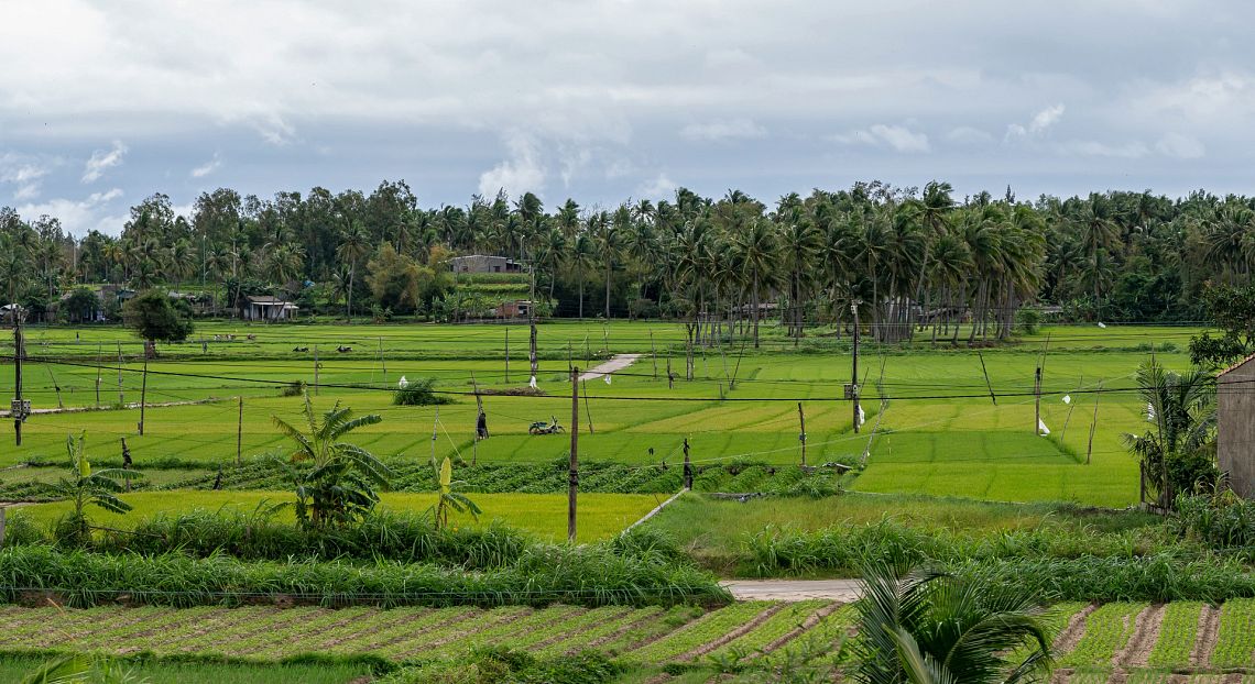 Soluzioni basate sulla natura: i lavori più richiesti secondo Ilo e Unep
