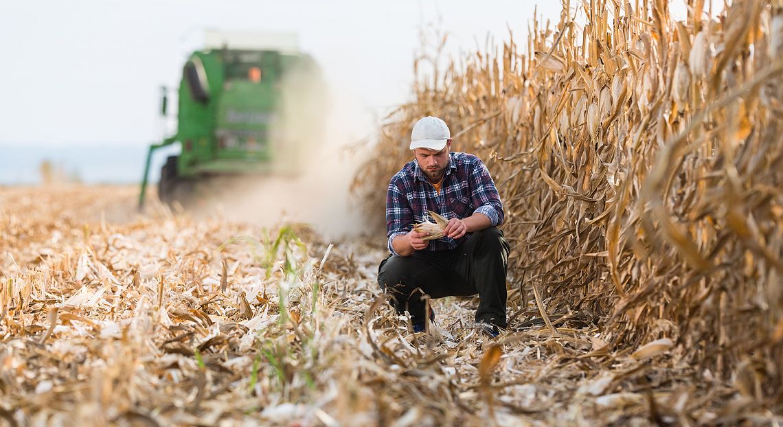 Sono i valori personali a guidare le imprese familiari verso la sostenibilità