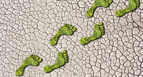 L’Onu premia idee e progetti innovativi per la lotta ai cambiamenti climatici